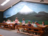 Egmont Eco Leisure Park & Backpackers Hotels in New Plymouth