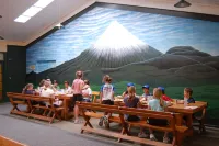 Egmont Eco Leisure Park & Backpackers Hotels in Kaitake