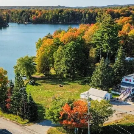 Teddy Bear Bed & Breakfast