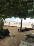 Blue Residence Hotel - Beach