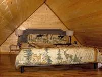 Charming Cabin Near Hatcher Pass Hotels in Fishhook