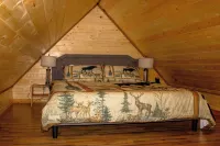 Charming Cabin Near Hatcher Pass