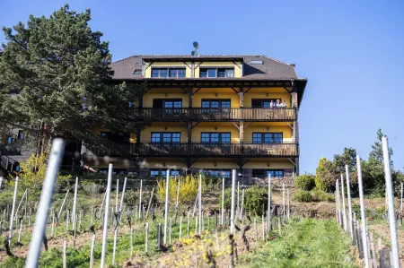 Hôtel Arnold Отели в г. Барр