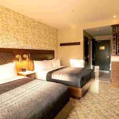 Hotel Zed Tofino Rooms