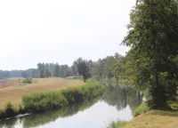 Waldblick Forest Retreat - Pet friendly