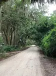 Unique stay in the Hammock filled with local art
