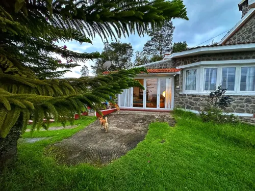 Sky House: Cliff Villa in Kodaikanal. Pet Friendly!