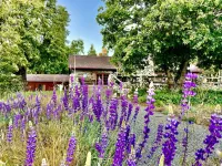 Spacious mountain lodge