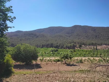 Casa de Campo en Aldea de Yeste Albacete Отели в г. Есте