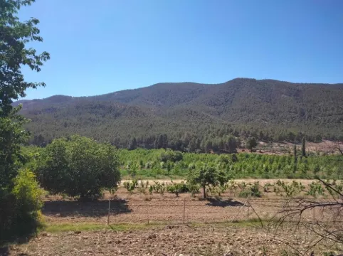 Casa de Campo en Aldea de Yeste Albacete