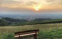 Spacious, family-friendly vacation apartment in architect's house with garden