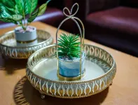 Charming studio in Agdal Hoteles en Rabat