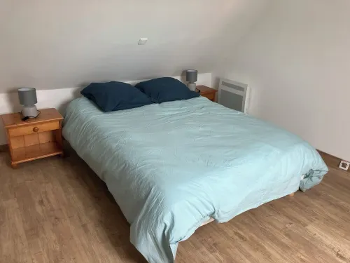 The cat on the broom