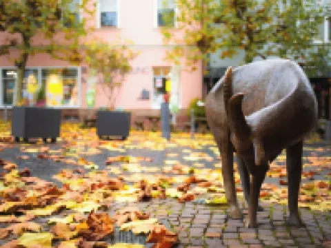 BEST STAY: CITYAPPARTMENT in Hünfeld, WLAN, SmartTV, balcony, central & quiet Hotels in Hunfeld