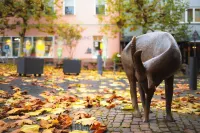 BEST STAY: CITYAPPARTMENT in Hünfeld, WLAN, SmartTV, balcony, central & quiet Hotels in Hunfeld