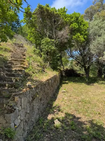 House T4 | Jacuzzi | Sea view