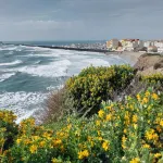 Le cap d'agde, garden apartment, boat view, pool, parking, beach 200 m