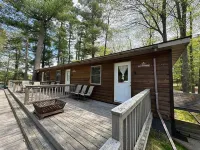 Black Bear Lodge Bear Trap 2 on Little Saint Germain Lake