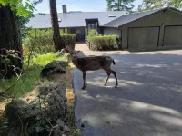 Waterfront View Rosario Sleeps 10- Summit Learning Center附近的飯店