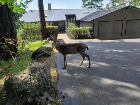 Waterfront View Rosario Sleeps 10-