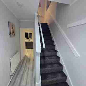 Shrewsbury Creations Others