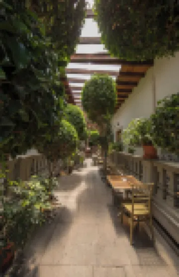 Meztli: Casa Boutique & Spa