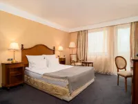 Festa Winter Palace Hotel Hotels in Samokov