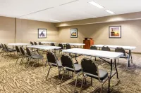 Comfort Inn & Suites IAH Bush Airport - East - Cheap