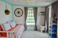 Bea's Beach Cottage Casuarina Point Abaco Hotels in 