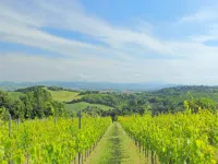 Apartment in Marche near Urbino and Pool