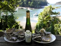 Breton Escape in Querrien Hôtels à : Querrien