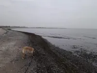 羅德比海邊安靜度假屋 - 海滩