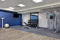 Hampton Inn & Suites Clearwater/St. Petersburg-Ulmerton Rd - Gym