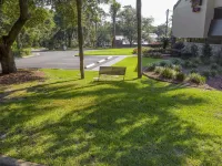 Red Roof Inn Tallahassee - University Hotels near Lichgate on High Road