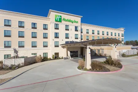 Holiday Inn Texarkana Arkansas Conv Ctr Отели в г. Тексаркана