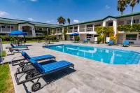 Quinta Dorada Hotel & Suites