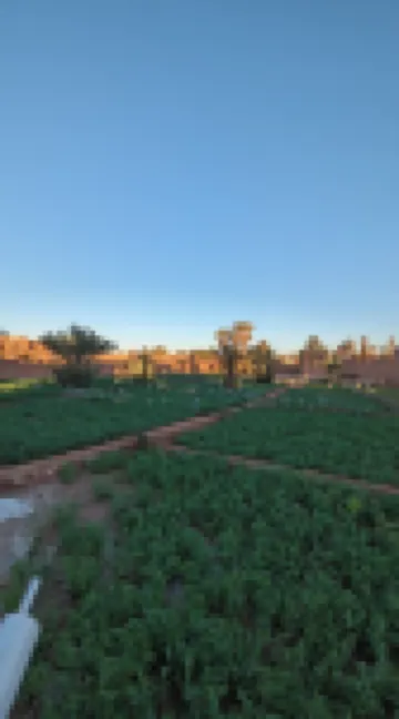 卡薩布沙漠營地