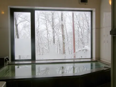 Shiga Kogen Hotel Astoria Отели рядом с достопримечательностью «志賀高原 中央エリア»