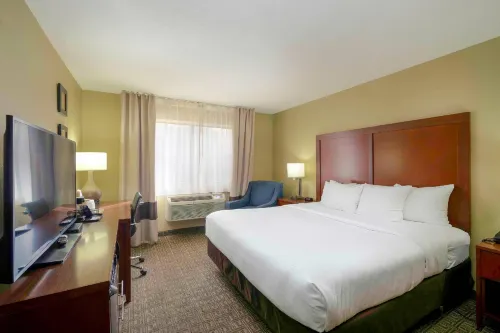 Comfort Inn Near Gila National Forest