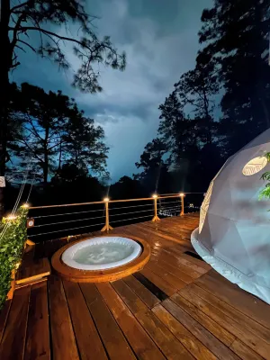 Tiny Pines Glamping - Homestays