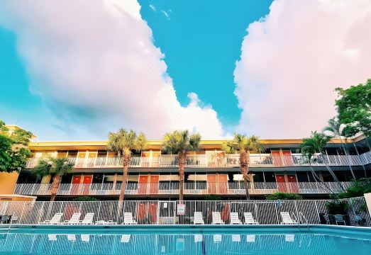 레드 카펫 인 에어포트 포트 로더데일