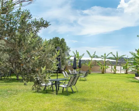 Airscape Hotel Free Shuttle from Athen's Airport Hotels in Spata-Artemida