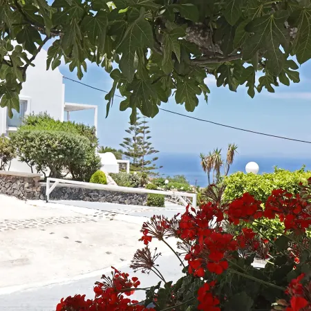 Phaos Santorini Suites