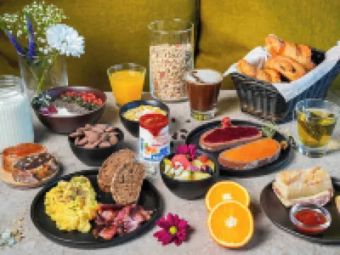 科爾瑪展覽中心B&B酒店 科爾馬酒店