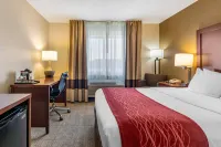 Comfort Inn - parkir