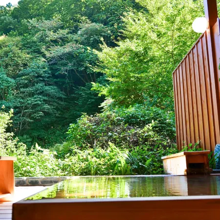 Shinobu Hot Spring - Seishu