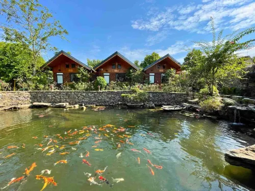 Ninh Binh Eco Garden - acceptant les animaux