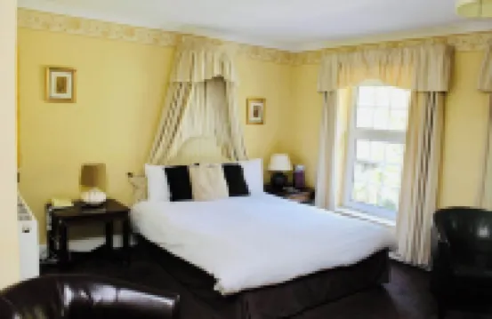 Ty Newydd Country Hotel Hotels in 