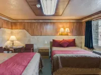 Zion Park Motel Hotels in Springdale