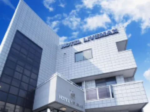 HOTEL LiVEMAX BUDGET Gunma Numata Hotels in Numata